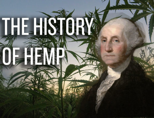 The history of hemp in the United States
